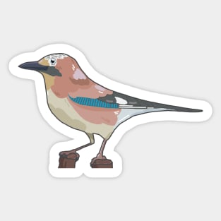 Jay Sticker